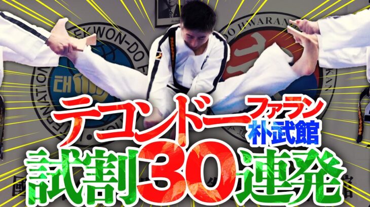 Taekwondo Hwarang Park Bukan “Allenamento di rottura” Test Breaking Edition ITF TAEKWONDO HWARANG…