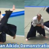 SHIRAKAWA KATSUTOSHI ＆ SAGAWA KOICHI – 62th All Japan Aikido Demonstration (2025)