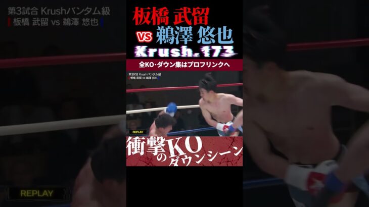 【Krush.173】板橋 武留 vs (欲望の拳)鵜澤 悠也 KOシーン/next 2025.5.18.Krush.174,175 チケット好評発売中
