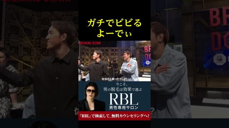 ガチでビビるよーでぃ