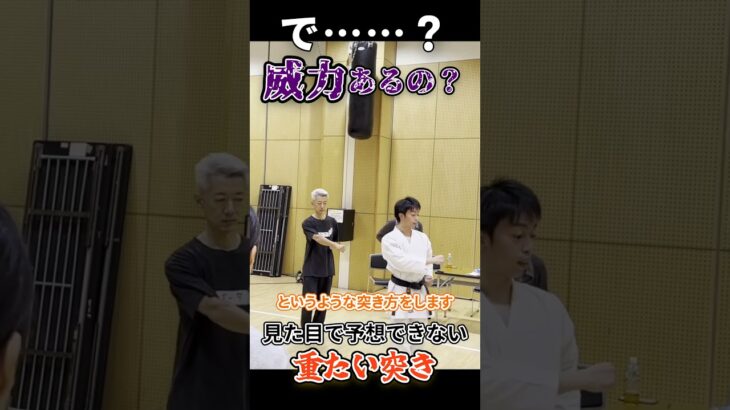 ナイハンチに学ぶ、末端に揃う重たい突き