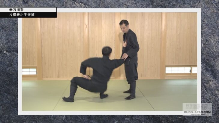 武神館 逆井則男師範 初見良昭伝【片襟表小手逆捕…無刀捕への変化例】 Bujinkan Budo #2 : highest level movements in Budo 2