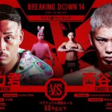 期間限定！【メカ君vs西谷大成】試合フル映像/RIZIN男祭り特別企画！