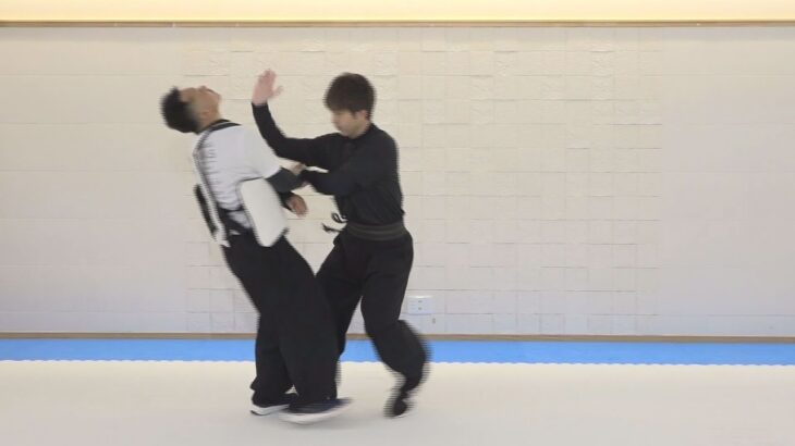 初公開！【八極拳の発勁法 第２巻 用法編】〜秘伝の訓練システム〜 How to exert internal power in BAJIQUAN #2