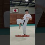 Adjust the distance of the kick with your ankle [ Budo Karate ]
