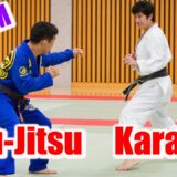 Karate and jiu-jitsu masters verify each other’s strategies [Naka Tatsuya, Nakai Yuki]