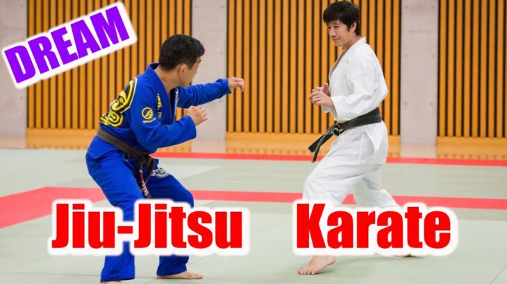 Karate and jiu-jitsu masters verify each other’s strategies [Naka Tatsuya, Nakai Yuki]
