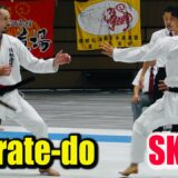 What an impressive Karate-do match  / Shotokan Karate-Do International Federation