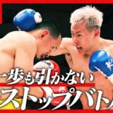 新美 貴士vs関口 功誠/Krushフェザー級/Krush.173