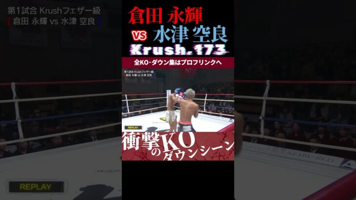 【Krush.173】(闘犬)倉田 永輝 vs 水津 空良 KOシーン/next 2025.5.18.Krush.174,175 チケット好評発売中