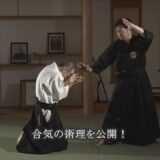 堀川幸道伝 大東流【秘伝の合氣】第一巻 基礎・実践編 Aiki from Kodo HORIKAWA #1　Basic techniques in Aiki
