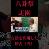 【八卦掌】樹木を活用した究極の鍛錬方法！中国武術の達人！小幡先生降臨