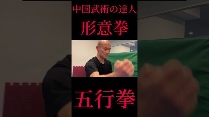 中国武術の達人！！五行拳！
