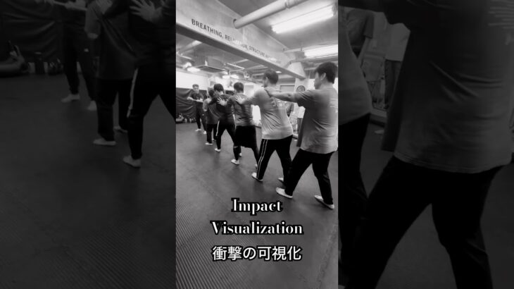 衝撃の可視化
