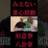 八卦掌の円の動き！みえない重心移動に隠された伝説の技術