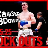 【ダウン・KO集】KNOCK OUTS 25.5.25 Krush.176