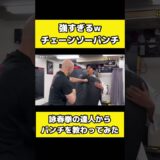 【リアルイップマン】詠春拳のチェーンパンチが想像以上にすごい