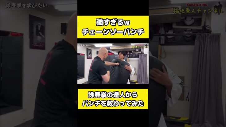 【リアルイップマン】詠春拳のチェーンパンチが想像以上にすごい