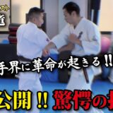 常識を覆す!!成嶋竜の最強期を支えたカウンターの秘訣に驚愕！