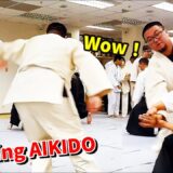 Amazing and Beautiful Aikido in Taiwan