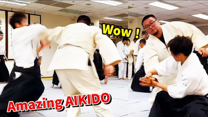 Amazing and Beautiful Aikido in Taiwan