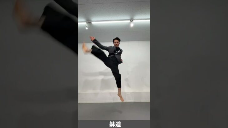 High kicks by martial artists and action actors