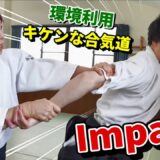 [Techniques using everyday objects] Beautiful and dangerous Aikido