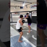 朝倉海のミット打ち
