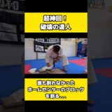 業務用ブロックを素手で叩き割る達人がまじでやばい、、