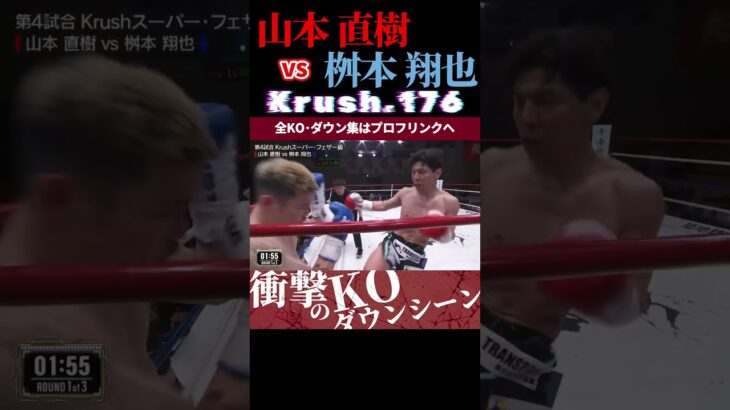 【Krush.176】秘める大和魂・山本 直樹 vs 小さなバトルサイボーグ・桝本 翔也 KOシーン/next 2025.6.27.Krush.177 チケット好評発売中