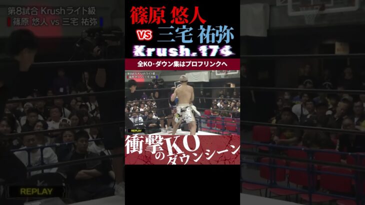 【Krush.174】アサシン・エリート・篠原 悠人 vs 狂乱のBounce dance・三宅 祐弥 KOシーン/next 2025.6.27.Krush.177 チケット好評発売中