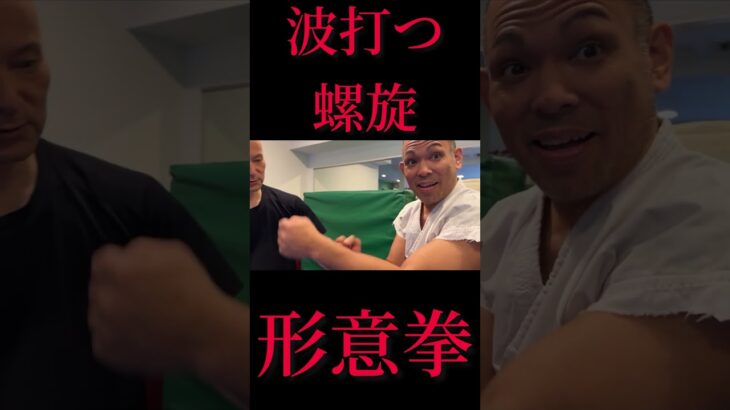 【波打つ螺旋】形意拳と詠春拳の共通点とは？！中国武術、小幡先生の圧倒的な技術！