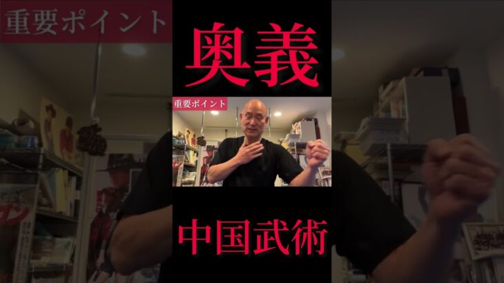 【奥義】形意拳×八卦掌！中国武術の最終段階