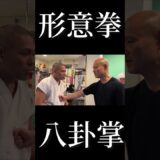 形意拳×八卦掌の勁の爆発！なぜこの威力？！