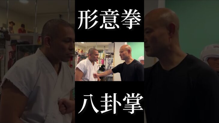 形意拳×八卦掌の勁の爆発！なぜこの威力？！