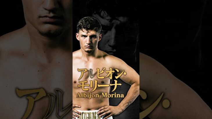 K-1 WORLD MAX 2025-70kg世界最強決定トーナメント/出場選手/アルビオン・モリーナ/🇩🇪