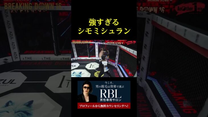 強すぎるシモミシュラン。。。