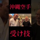 形意拳×八卦掌×沖縄空手！同じ受け技にも違いが？