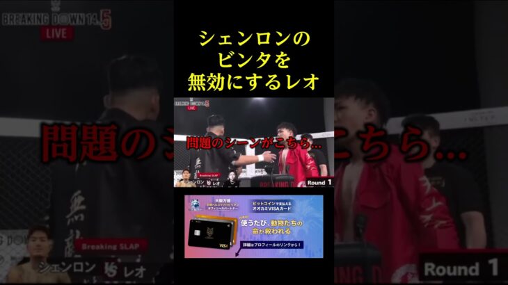 シェンロンのビンタを無効にするレオ