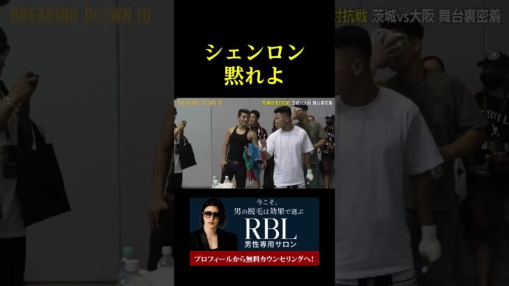 シェンロン黙れよ