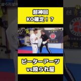 ピーターアーツの15秒本気パンチ耐えれるのか？耐えれないのか？