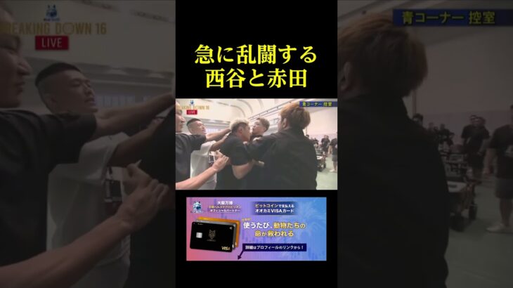 急に乱闘する西谷と赤田。。。
