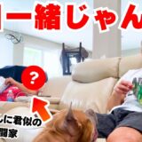 あの格闘家と毎日一緒に過ごしてます【堀口恭司のフロリダ近況報告】