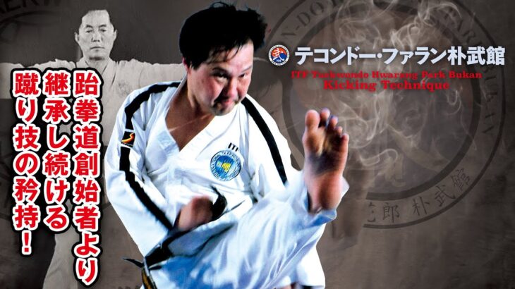全日本・世界大会優勝者を輩出し続ける名門道場に学ぶ、テコンドーの蹴り技！–ITF Taekwondo Hwarang Park Bukan Kicking Technique–