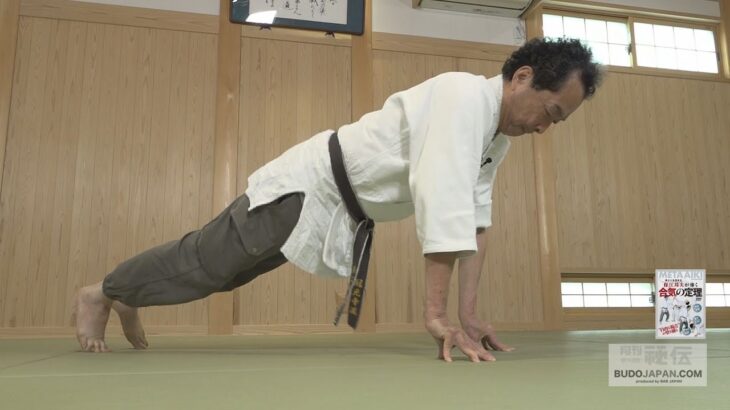 異才の物理学者 保江邦夫が導く【合気の定理】自由な視点で壁を破る！ META AIKI BY Kunio YASUE