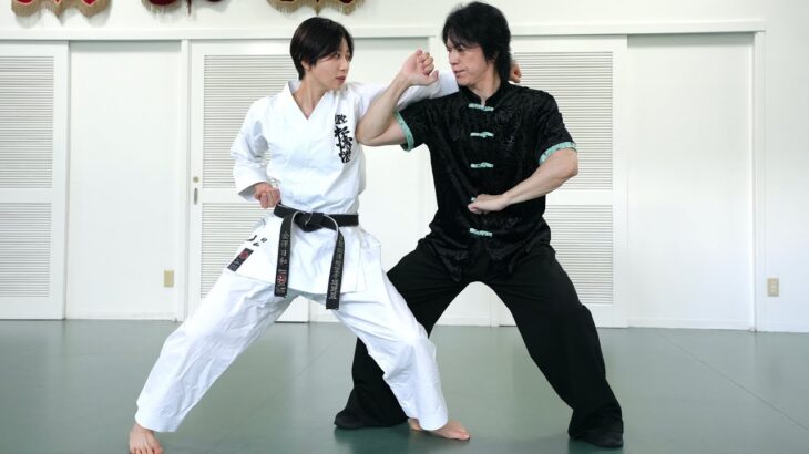 【Bajiquan】Karate woman gets elbow attack from Kung-fu master!
