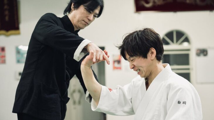 【中国武術のリアル】宮平保の技を受けた白川竜次が本音を明かす / クロスロード・エボリューション