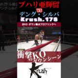 【Krush.178】[クレイジー・タイガー]ブハリ亜輝留 vs 【灼熱のビッグモスキート】デング・シルバ KOシーン/next 2025.9.7.K-1 WORLD MAX チケット好評発売中!!