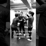 インターナルワークで遊ぼう #mikhailryabko #systema