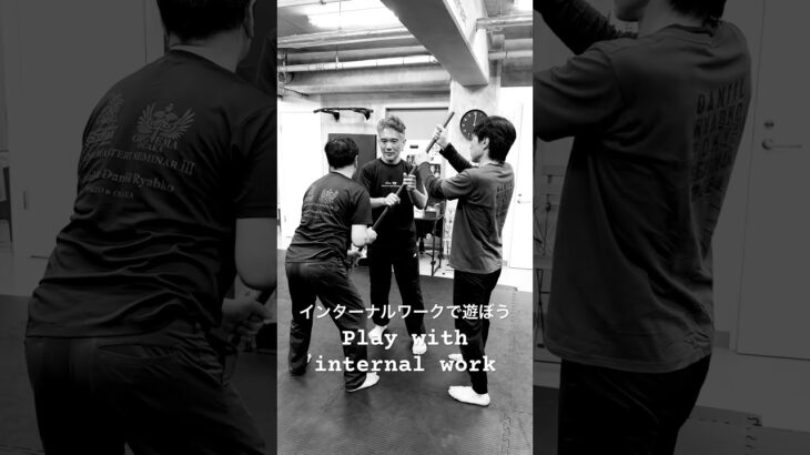 インターナルワークで遊ぼう #mikhailryabko #systema